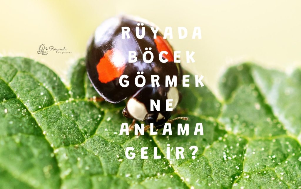 Rüyada Böcek Görmek Ne Anlama Gelir?