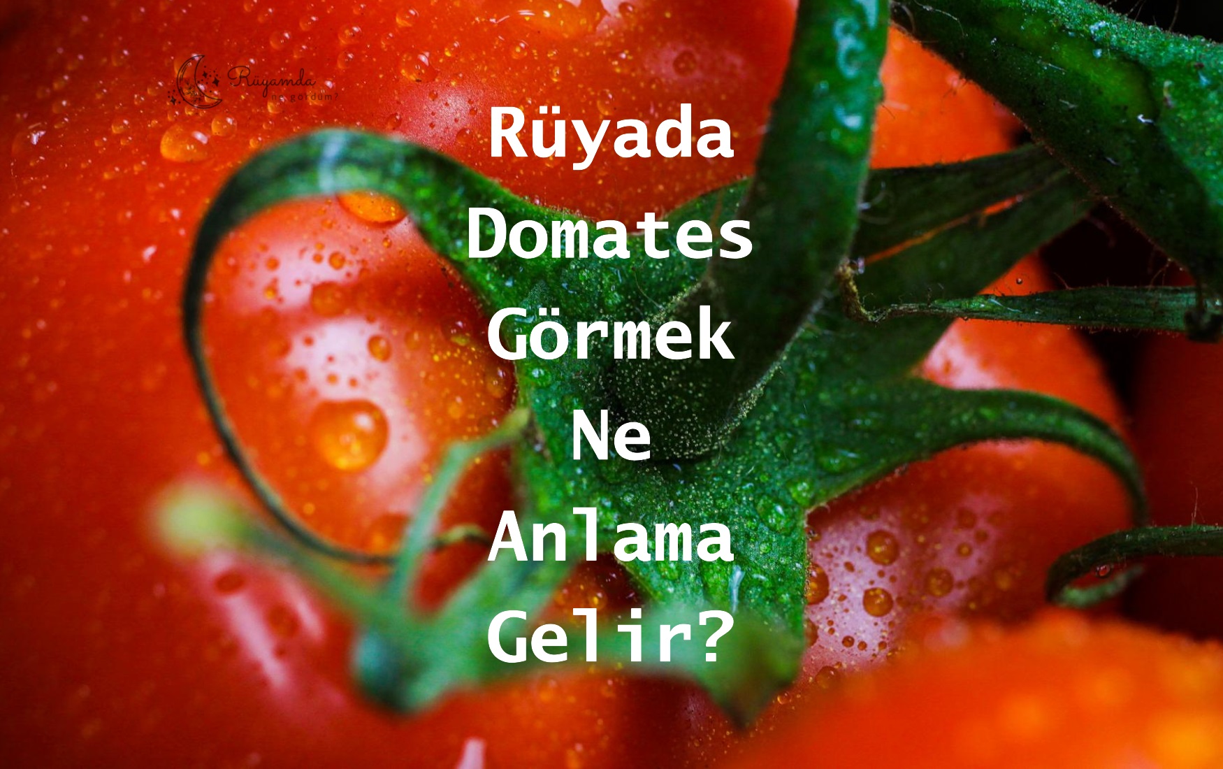Rüyada Domates Görmek Ne Anlama Gelir?