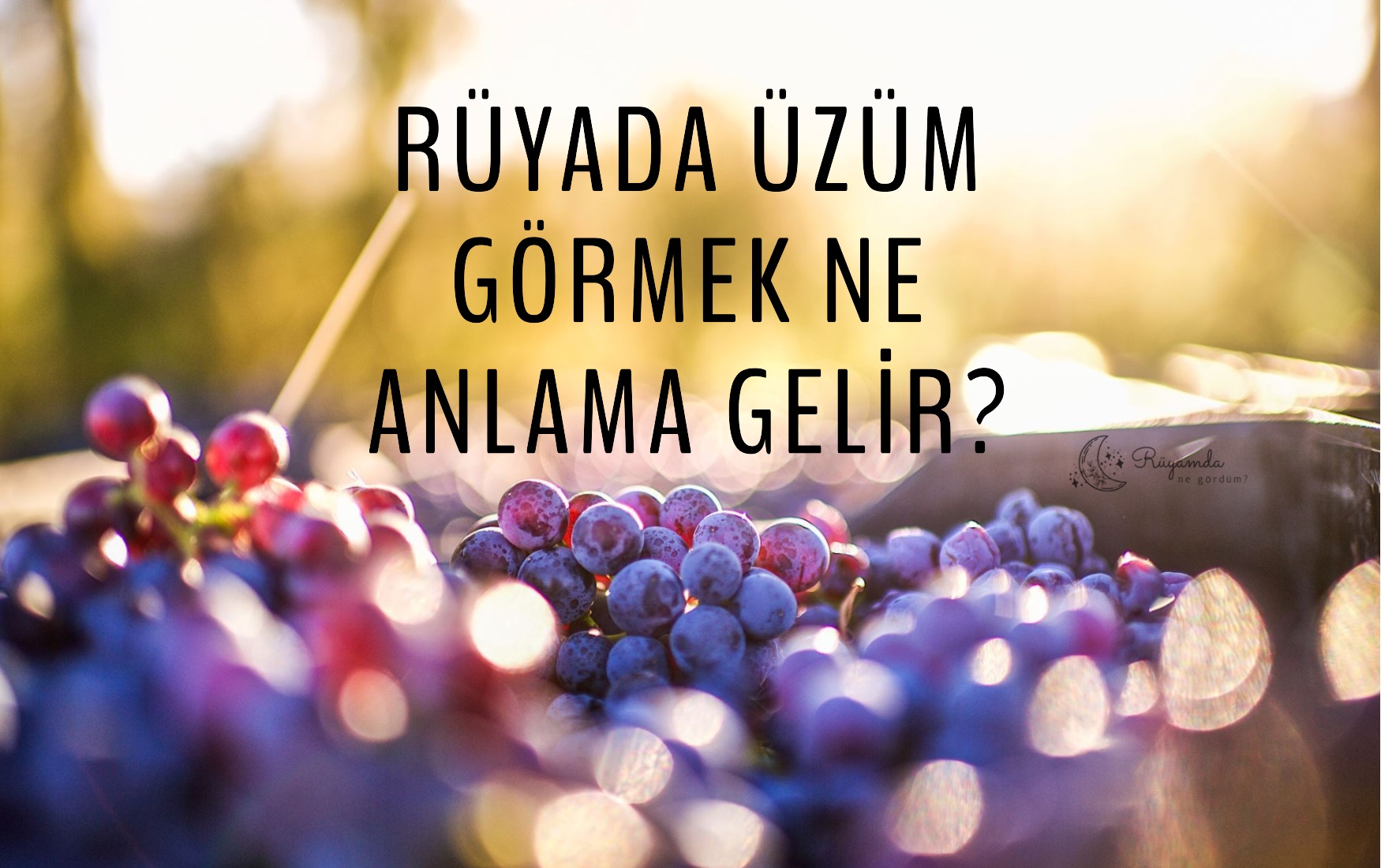 Rüyada Üzüm Görmek Ne Anlama Gelir?