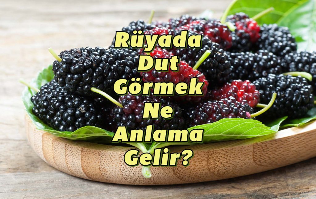 Rüyada Dut Görmek Ne Anlama Gelir?