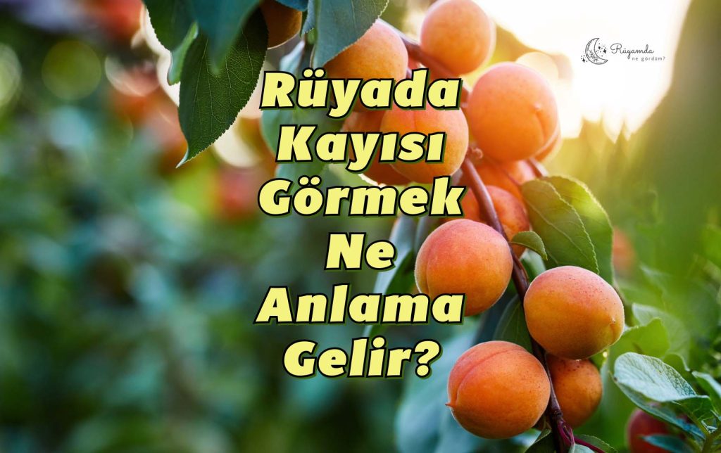 Rüyada Kayısı Görmek Ne Anlama Gelir?